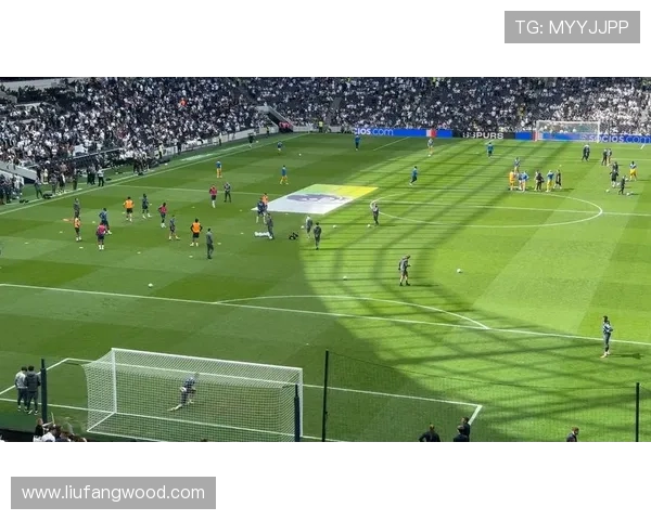 2020年热刺对阵布莱顿精彩回顾与战术分析